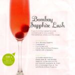 bombay sapphire gin, raspberries, lychee juice, prosecco
created by us for bombay sapphire gin in 2009