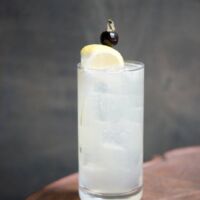 gin, fresh lemon juice, club soda